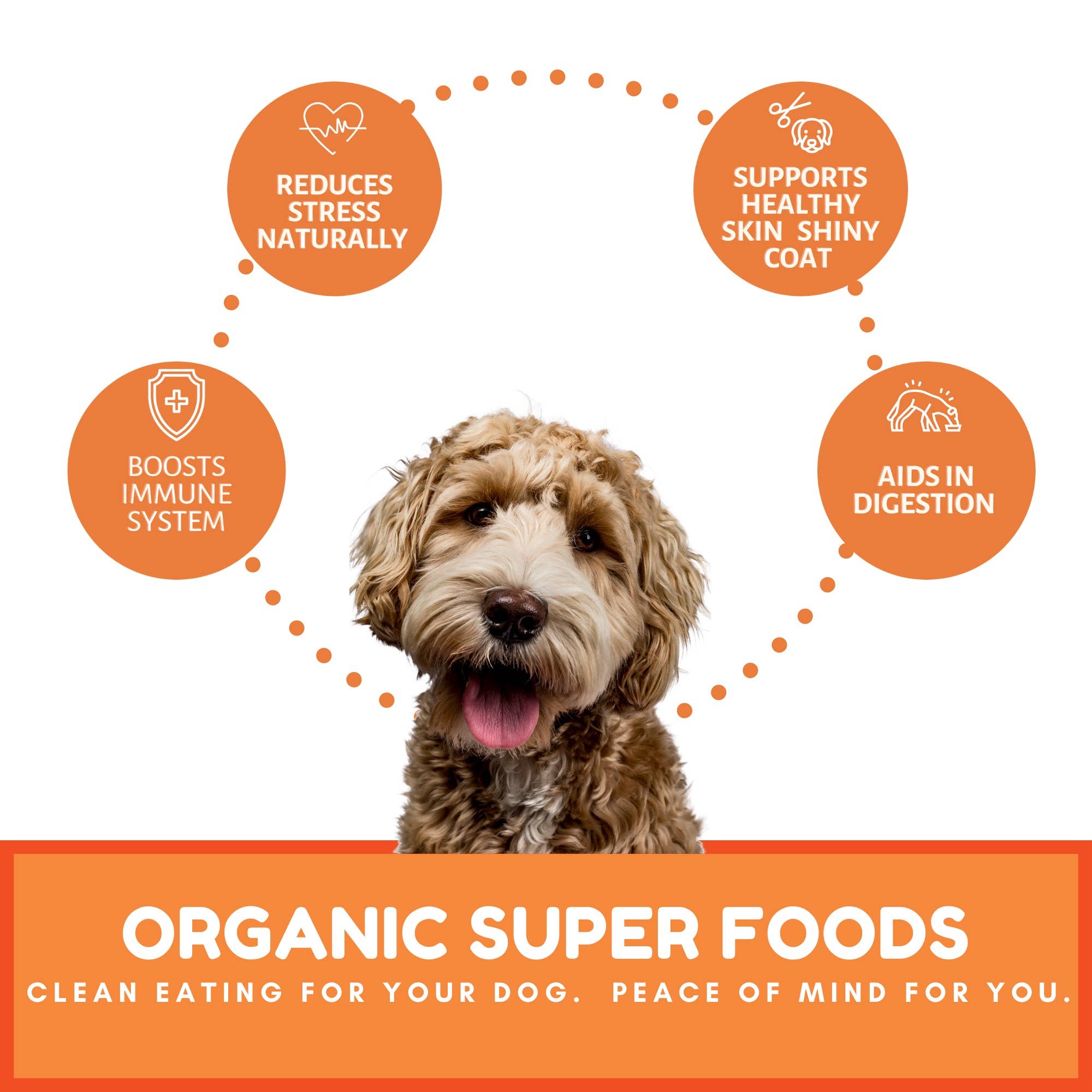 Dog Mamma's LLC - Wholesale Pet Treats - Dog - Organic Pumpkin Snaps Recipe - Gourmet Dog Treats 4