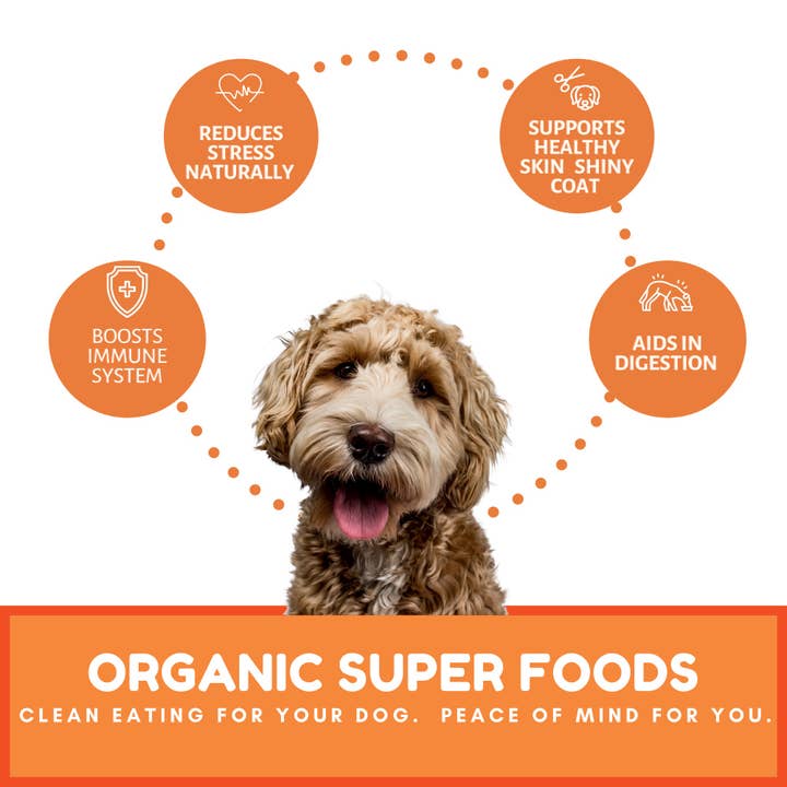 Dog Mamma's LLC - Wholesale Pet Treats - Dog - Organic Pumpkin Snaps Recipe - Gourmet Dog Treats 4