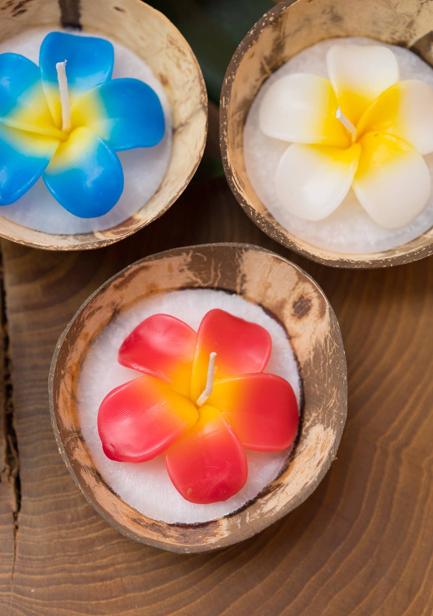 Namaste – Engroshandel Gavelys – Stor blomsterlys i kokosnøddeskal3