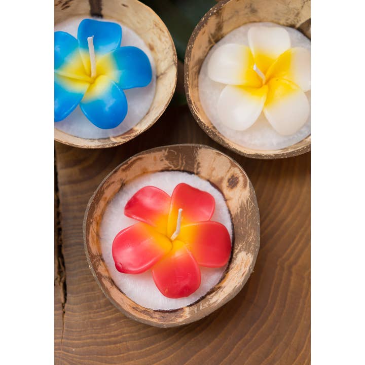 Namaste – Engroshandel Gavelys – Stor blomsterlys i kokosnøddeskal3