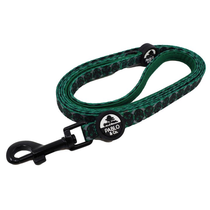 Pablo & Co. Boutique - Wholesale Pet leash – Dog - Harry Potter - Slytherin: Cat Leash