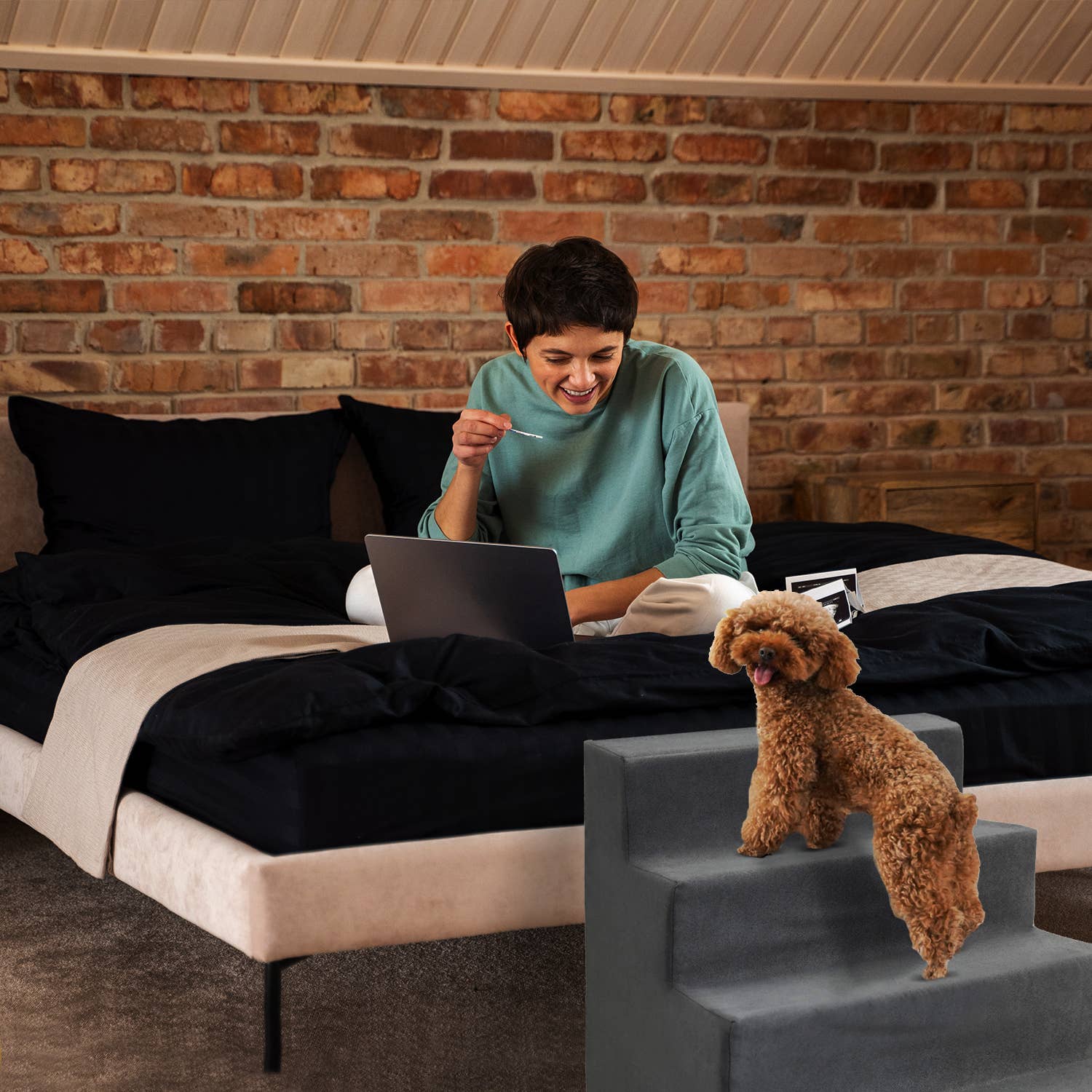 Precious Tails - Vente Escalier et rampe – chat et chien - Precious Tails Escalier pour animaux de compagnie en mousse haute densité 4 étapes22