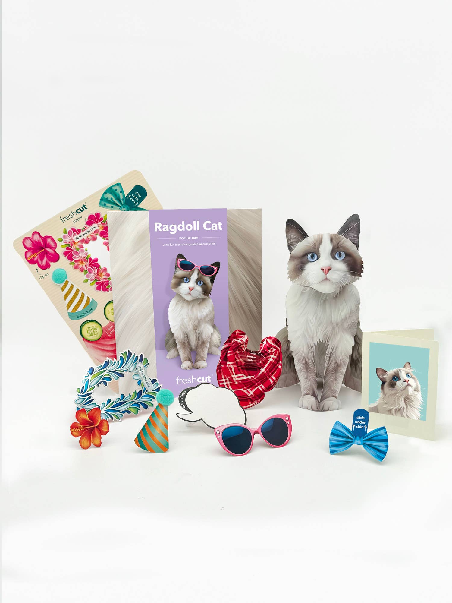 FreshCut Paper LLC - Wholesale Everyday Greeting Card - Ragdoll Cat (6 Pop-up Greeting Cards)5