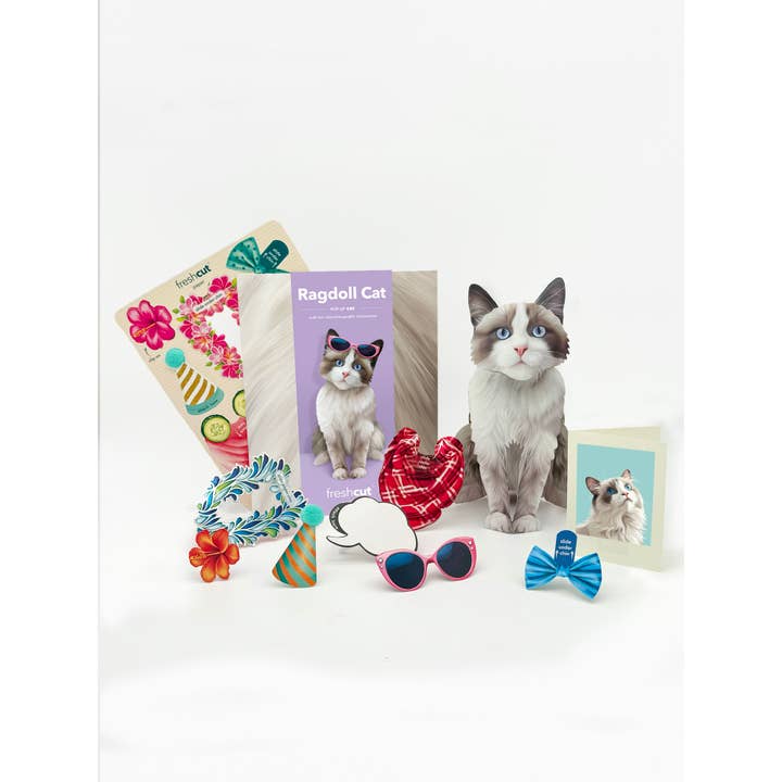 FreshCut Paper LLC - Wholesale Everyday greeting card - Ragdoll Cat (6 Pop-up Greeting Cards)5