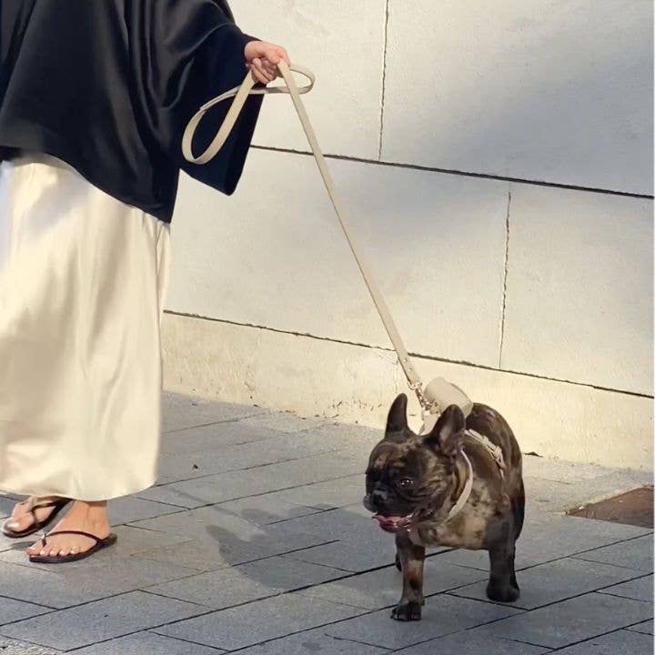 ST ARGO - Wholesale Pet Leash - Dog - LEAD - Cream1