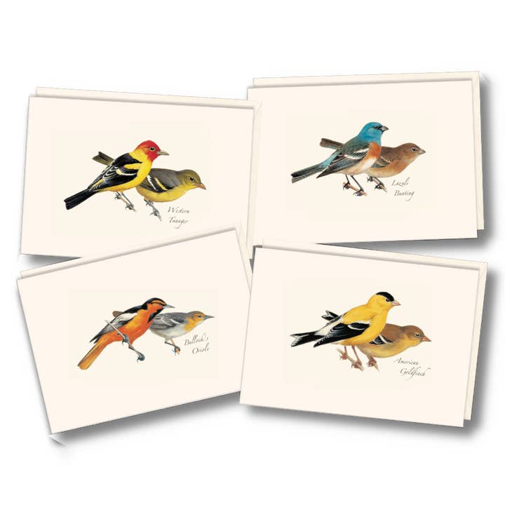 Earth Sky + Water - Wholesale Stationery/Notecard Set - Peterson Western Bird Assortment