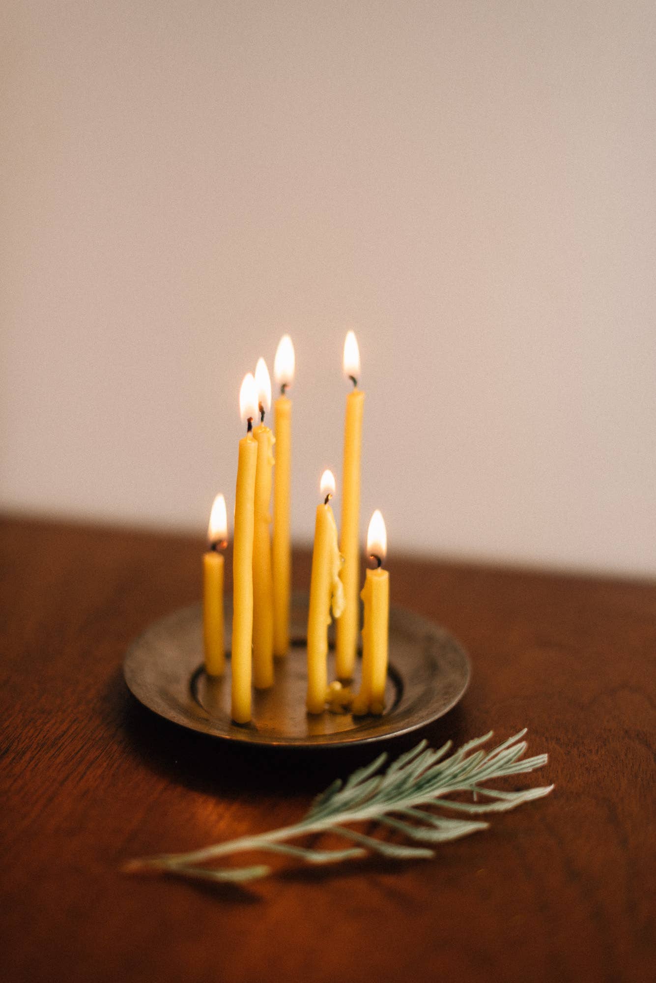 Casa Tenue - Wholesale Tapered Candle/Candlestick - Beeswax Sparkler Candles4