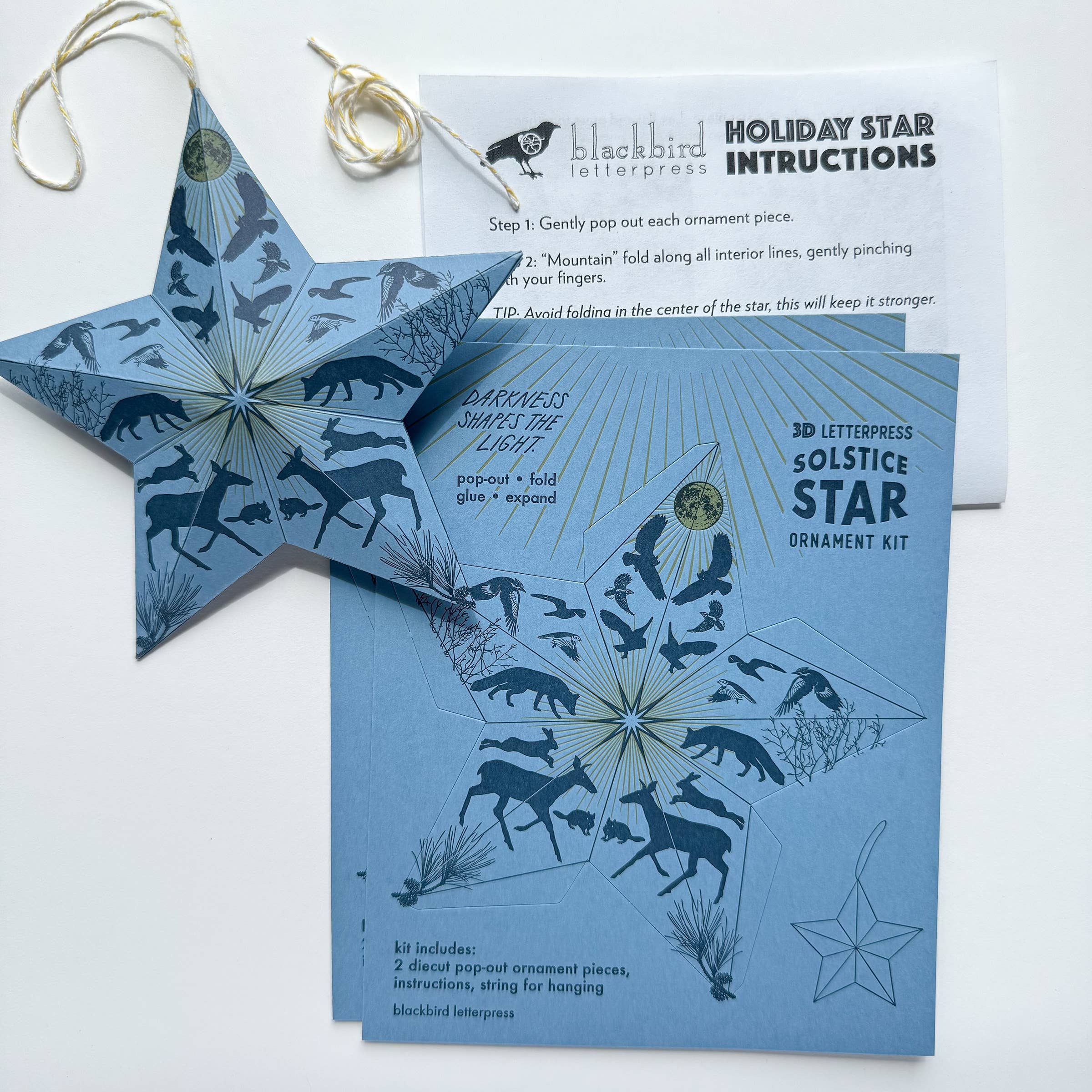 Blackbird Letterpress - Wholesale DIY Craft Kit - Holiday Solstice star DIY ornament kit0