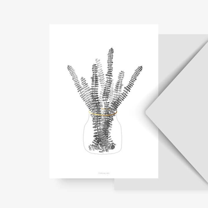 Cartola/Urban Jungle n. 3 per la vendita all'ingrosso da parte di typealive