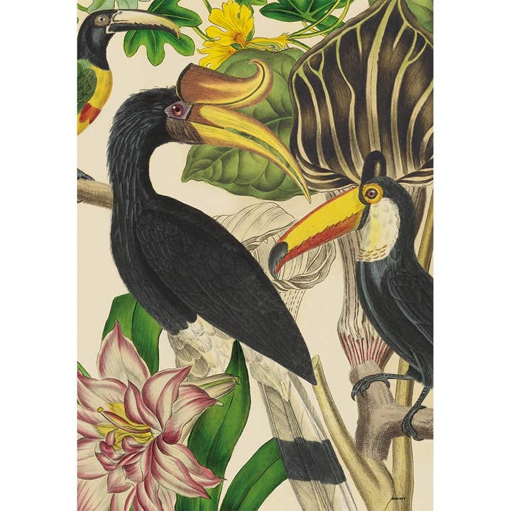 NIN-NIT Wandkunst | Tukan-Dschungel für den Großhandel von NIN-NIT