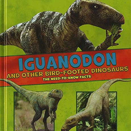 Boon Books – wholesale Reference – Dinosaur Fact Dig: Iguanodon & Other Bird-Footed Dinosaurs by Janet Riehecky