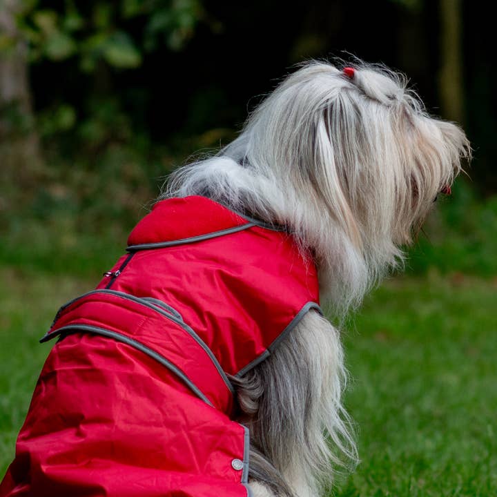 Ancol Pet Products Ltd - Wholesale Pet Coat - Dog - Stormguard All weather Coat : Poppy Red8