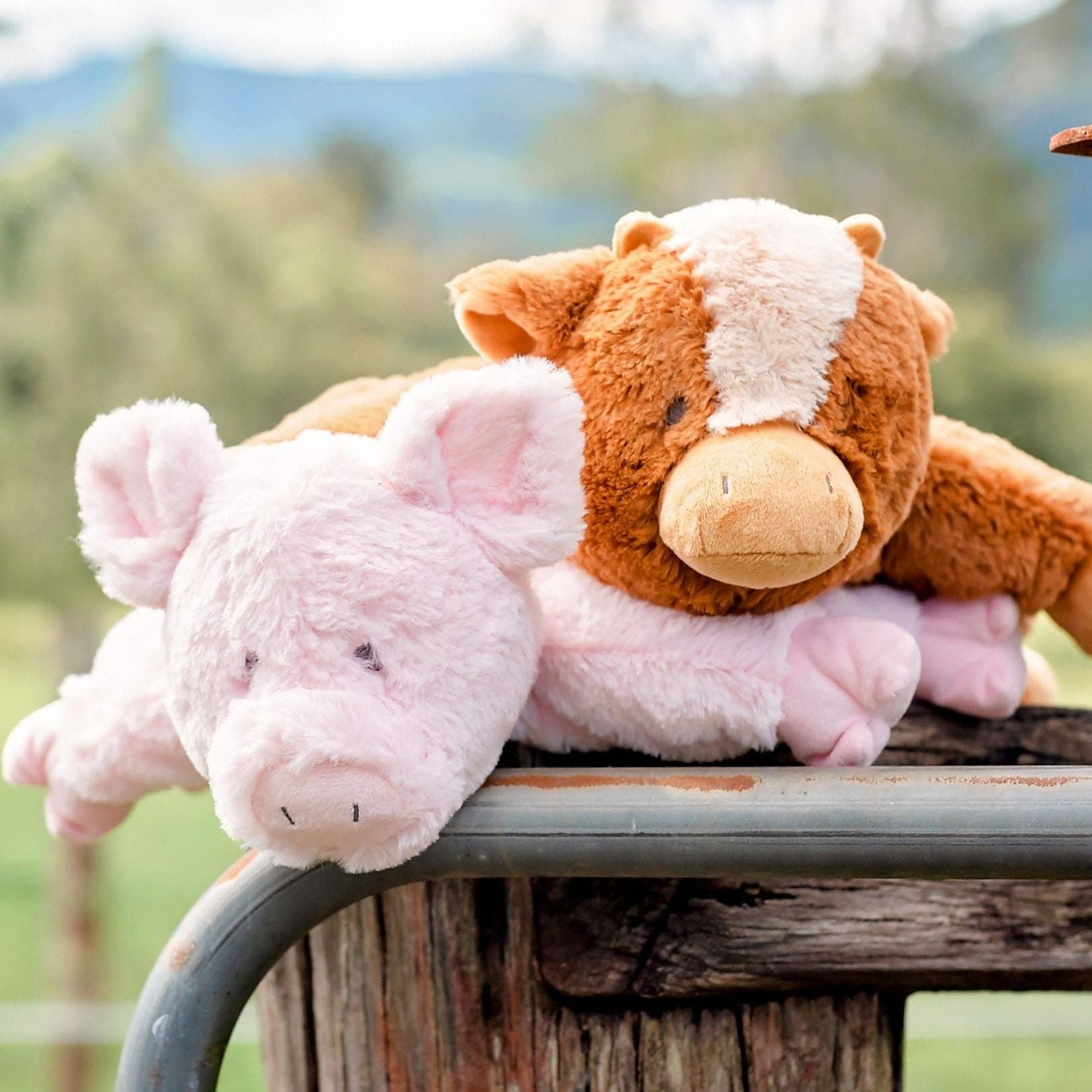 OB Designs Australia - Vente Peluche – enfant et bébé - Jouet en peluche Cochon Pêche4