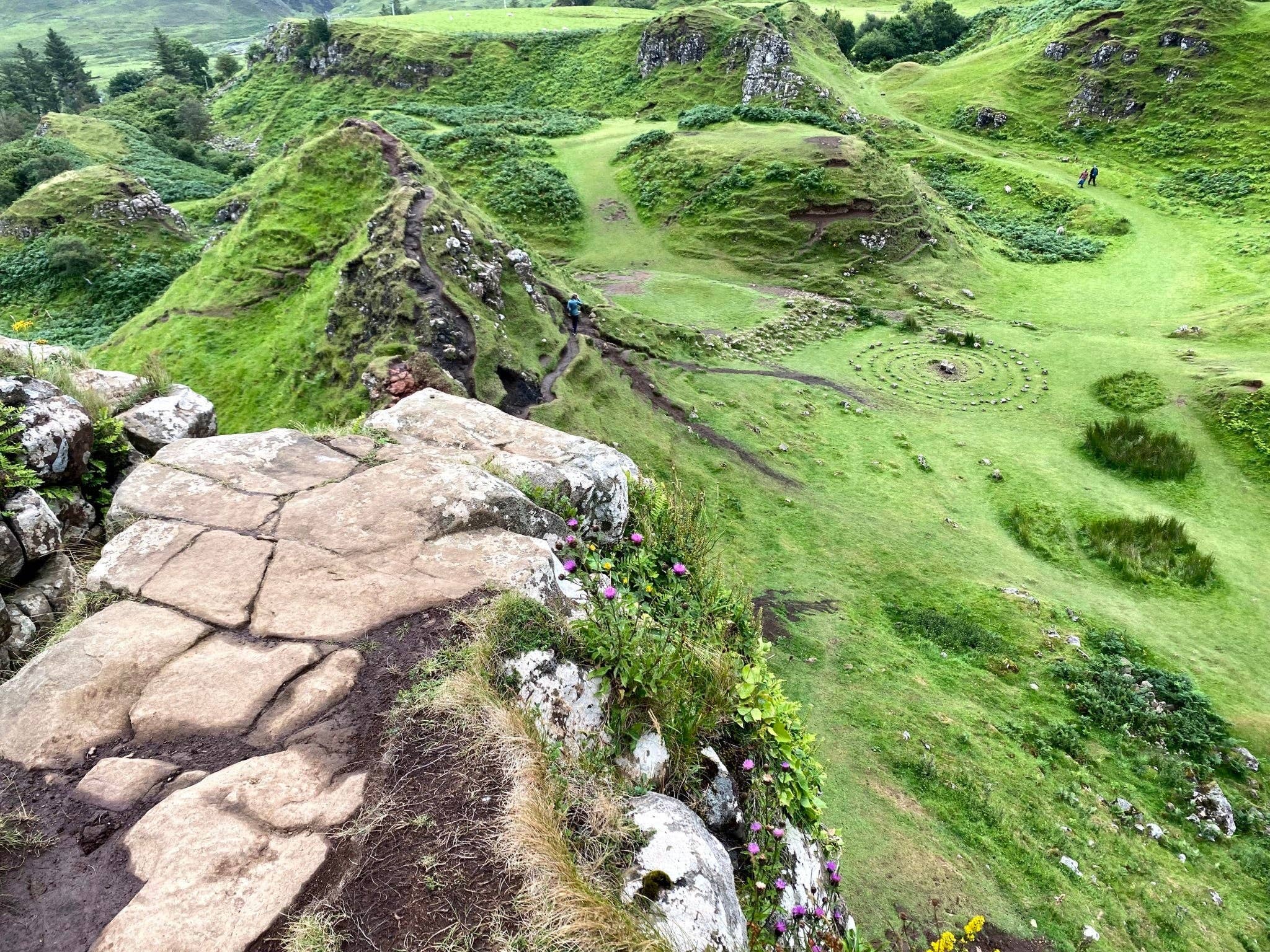 Wild Rye Soapery - Vendita all'ingrosso Saponette - Sapone al latte di capra Fairy Glen1