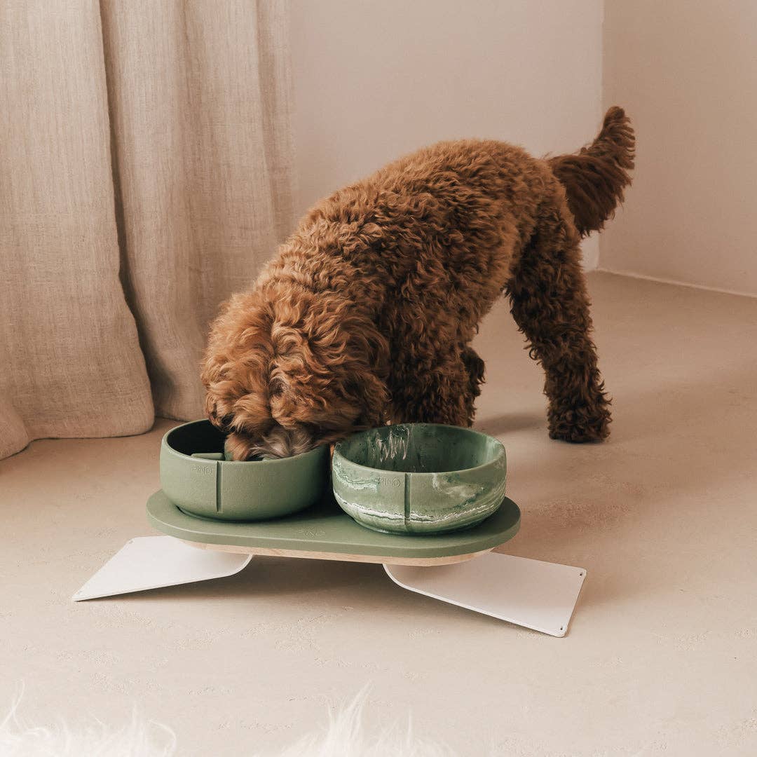 PINO – Engroshandel Kæledyrsskål – Hund – Klassisk skål46