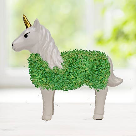 Gift Republic - Vendita all'ingrosso Semi di piante - Unicorno Chia Pet0