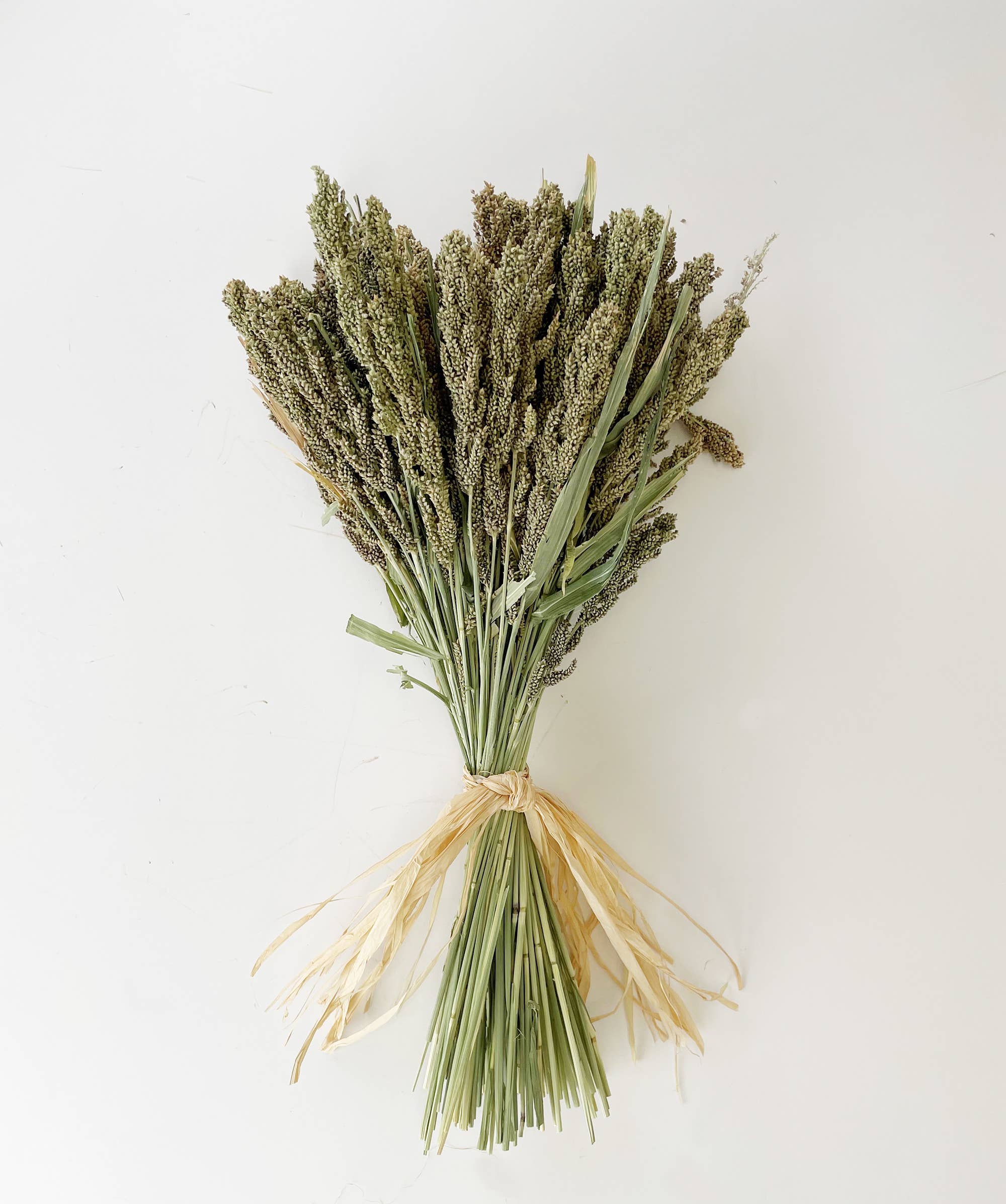 Wholesale Rustic Millet Bundle #22 for your store - Faire