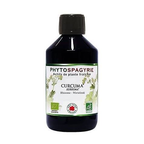 Phytospagyrie Av Växt Gurkmeja* 300ml för wholesale av Vecteur Energy