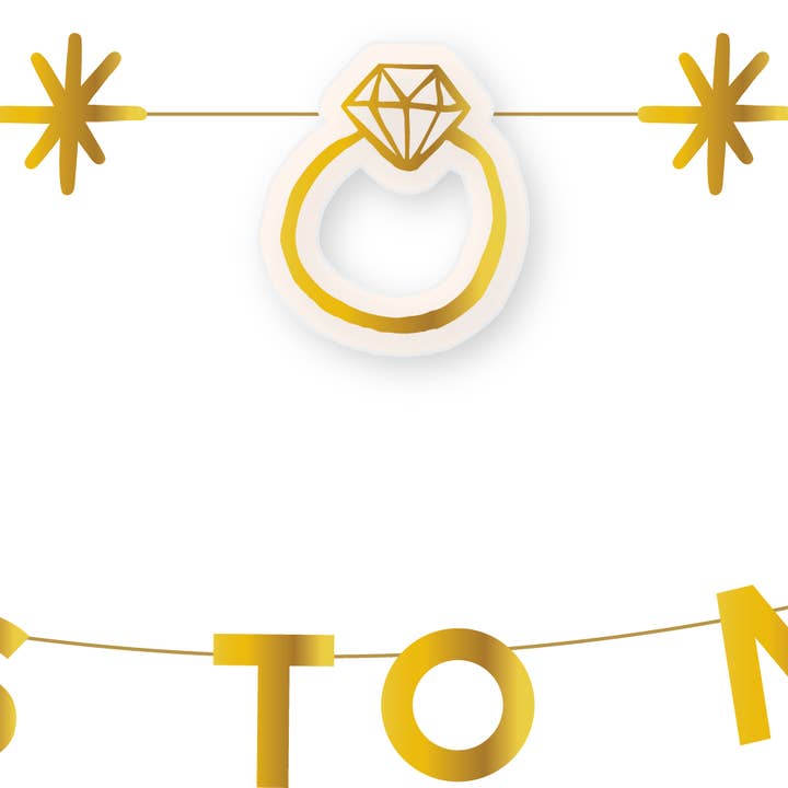 Miss to Mrs Party Banner Set for wholesale by Emergency Confetti