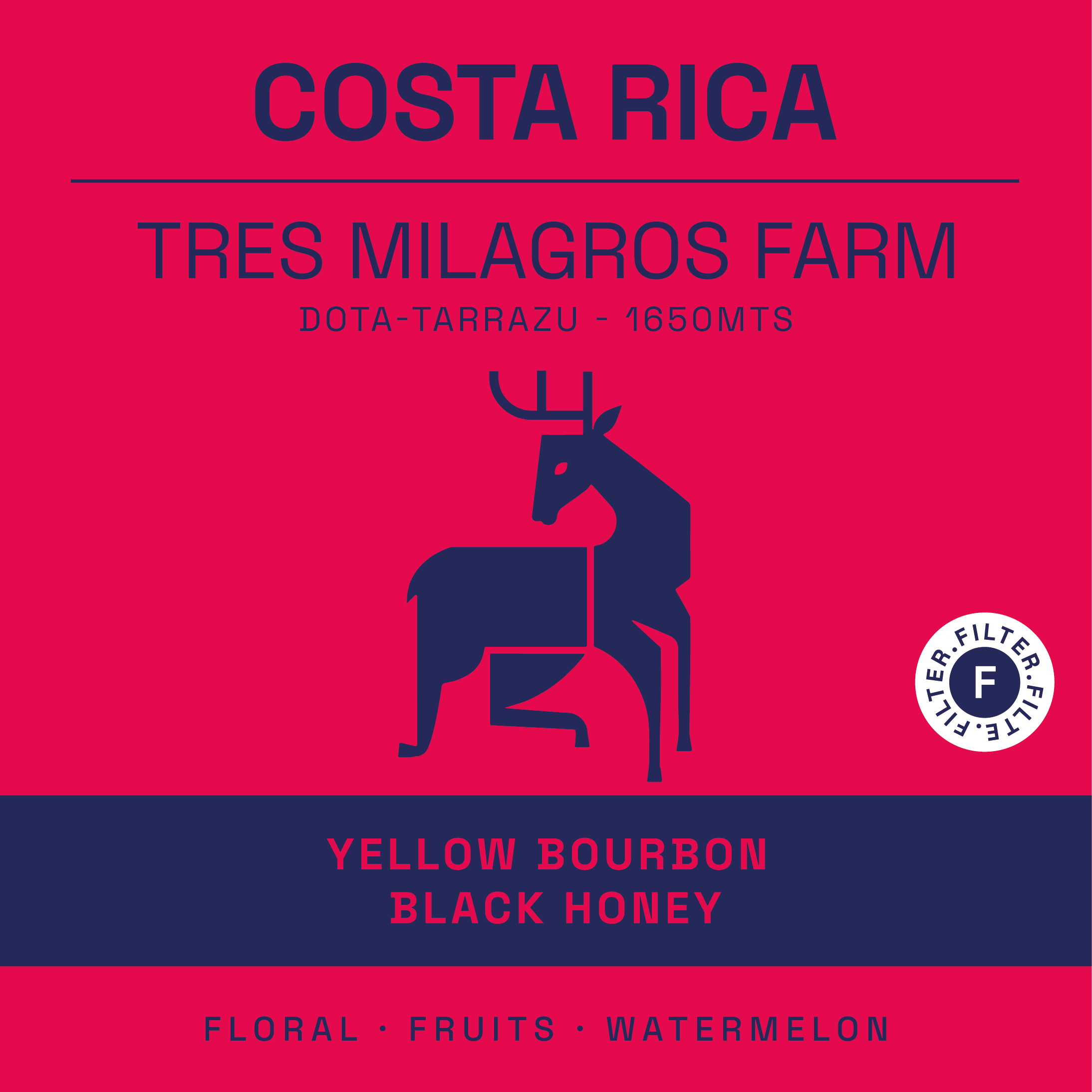 Sensorial Coffee Roasters - Wholesale Coffee Beans - Specialty Coffee from Costa Rica | Black Honey | 250 GR1