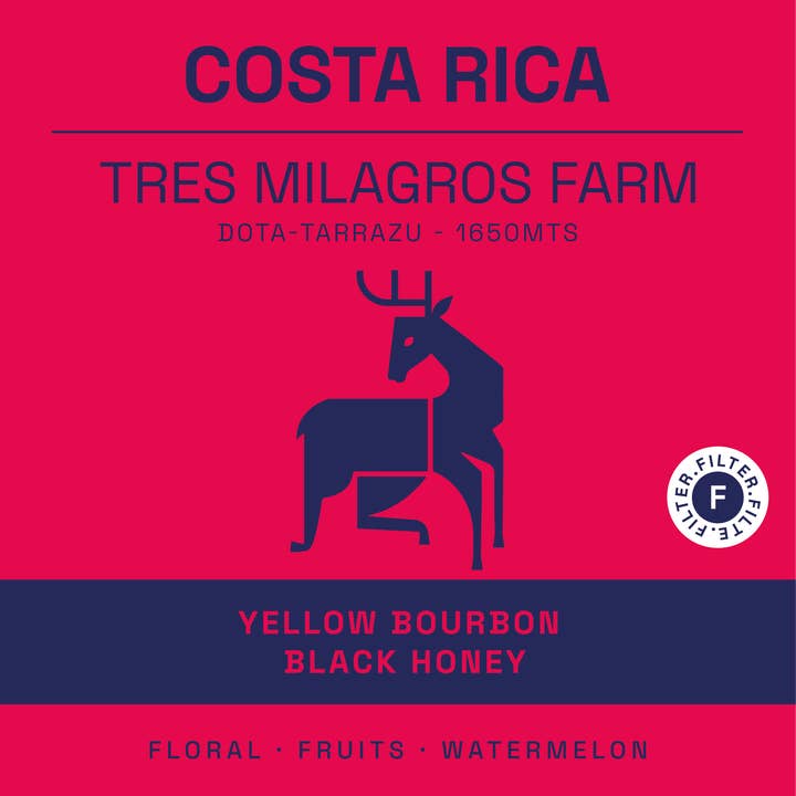 Sensorial Coffee Roasters - Wholesale Coffee Beans - Specialty Coffee from Costa Rica | Black Honey | 250 GR1