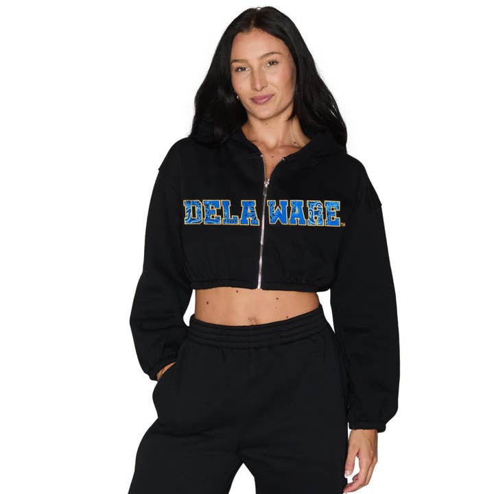 Felpa con cappuccio e zip Delaware per la vendita all'ingrosso da parte di Lojo Collegiate Apparel