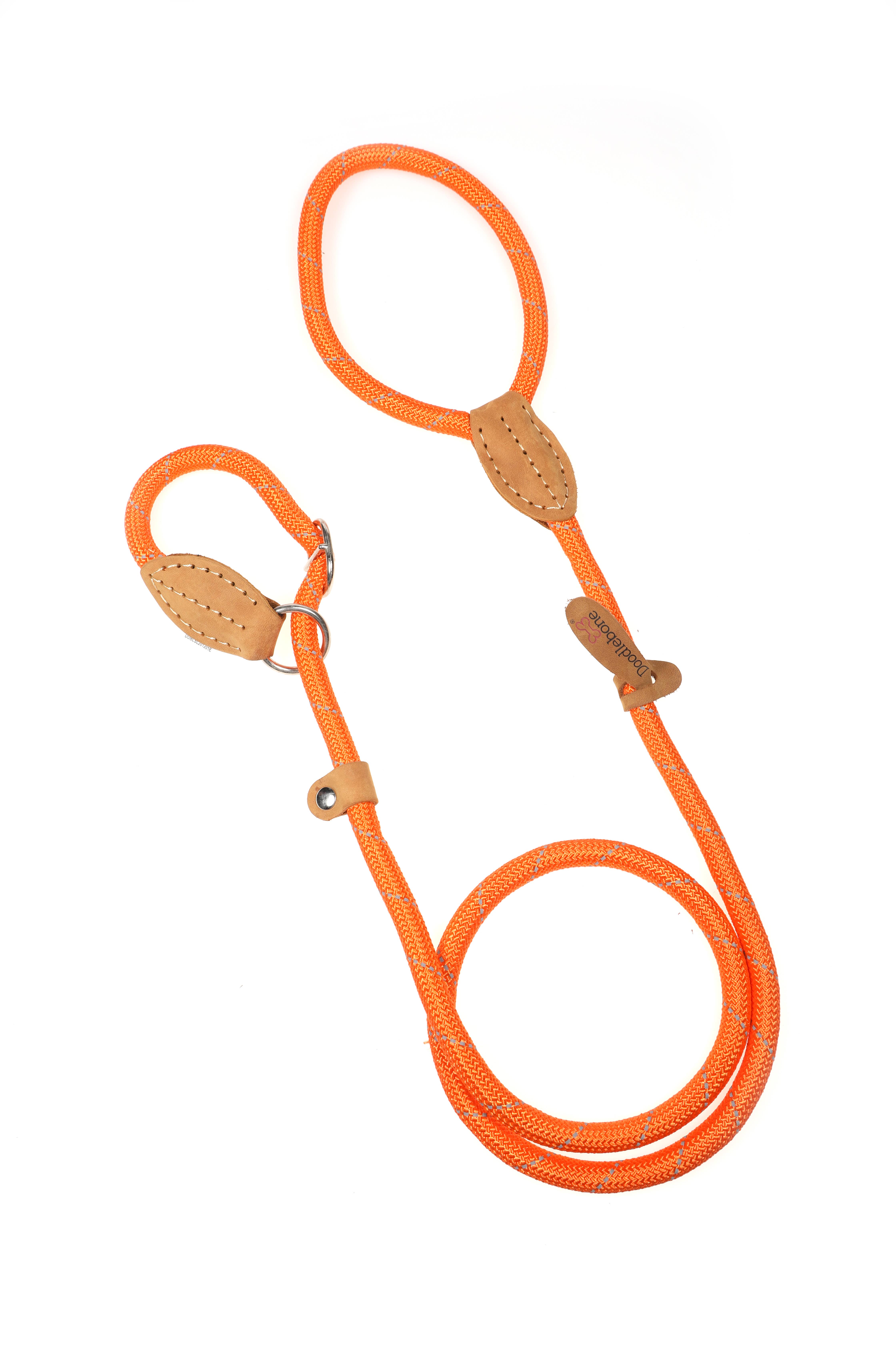 Doodlebone - Vente Laisse – chien - Laisse coulissante pour chien avec arrêt de sécurité6