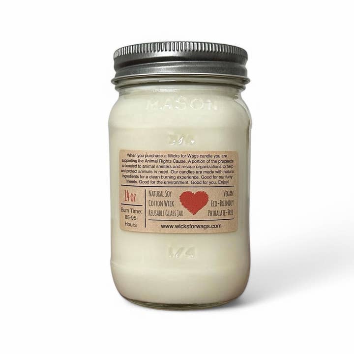 Wicks for Wags Candles - Wholesale Jar/Filled Candle - Desert Oasis |Â 14 oz Candle | Mason Jar Soy Candle