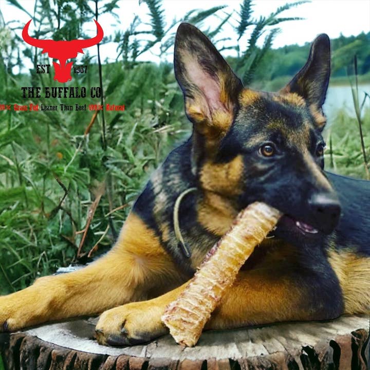 The Buffalo Co. - Vendita all'ingrosso Snack - Cani - Snack per cani Buffalo Trachea Rounds-100 g4