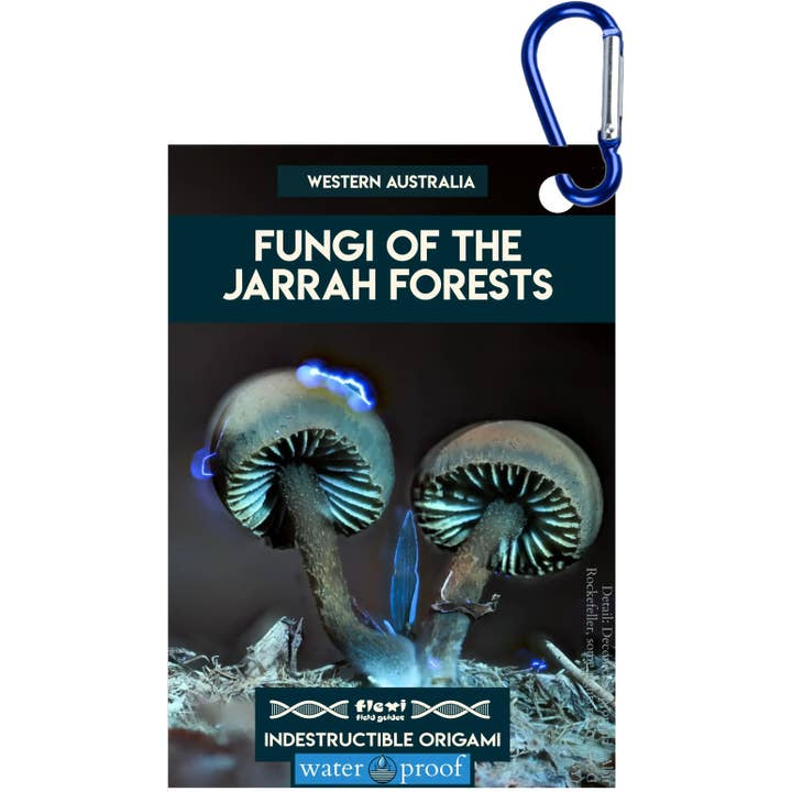 Schimmels van de Jarrah-bossen - Onverwoestbaar Origami voor wholesale door Flexi Field Guides