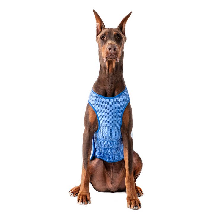 GF Pet - Wholesale Pet vest – Dog - GF Pet Elasto-Fit Ice Vest: Blue2