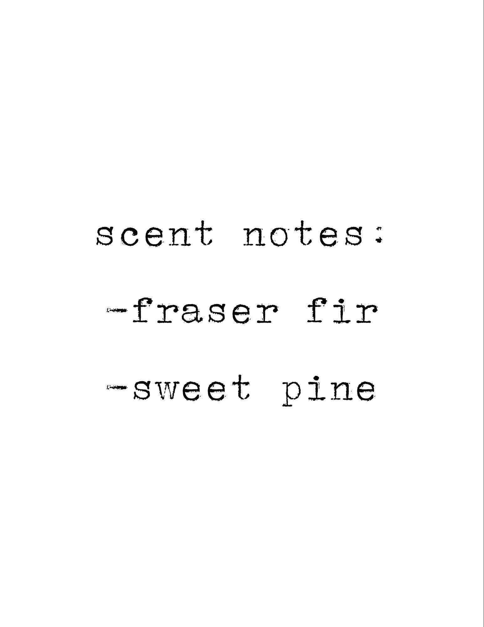 MLTD Candle Co. - Wholesale Jar/Filled Candle - Christmas Tree Soy Candle: Fraser Fir, Sweet Pine Scent1