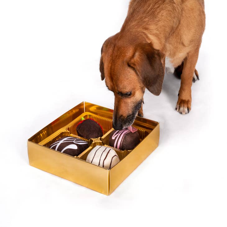 Pet Supplies : fabdog Floppies Plush Dog Toy - Cute & Durable