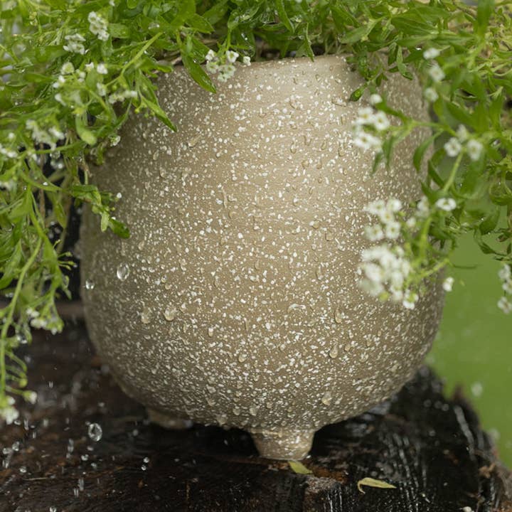 Bryce Terracotta Footed Planter Tan Splatter for wholesale by Foreside Home & Garden