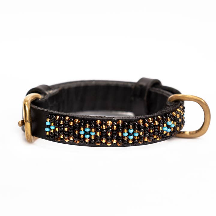 Coleira Faraja para cachorro na cor turquesa por atacado de Kampuni