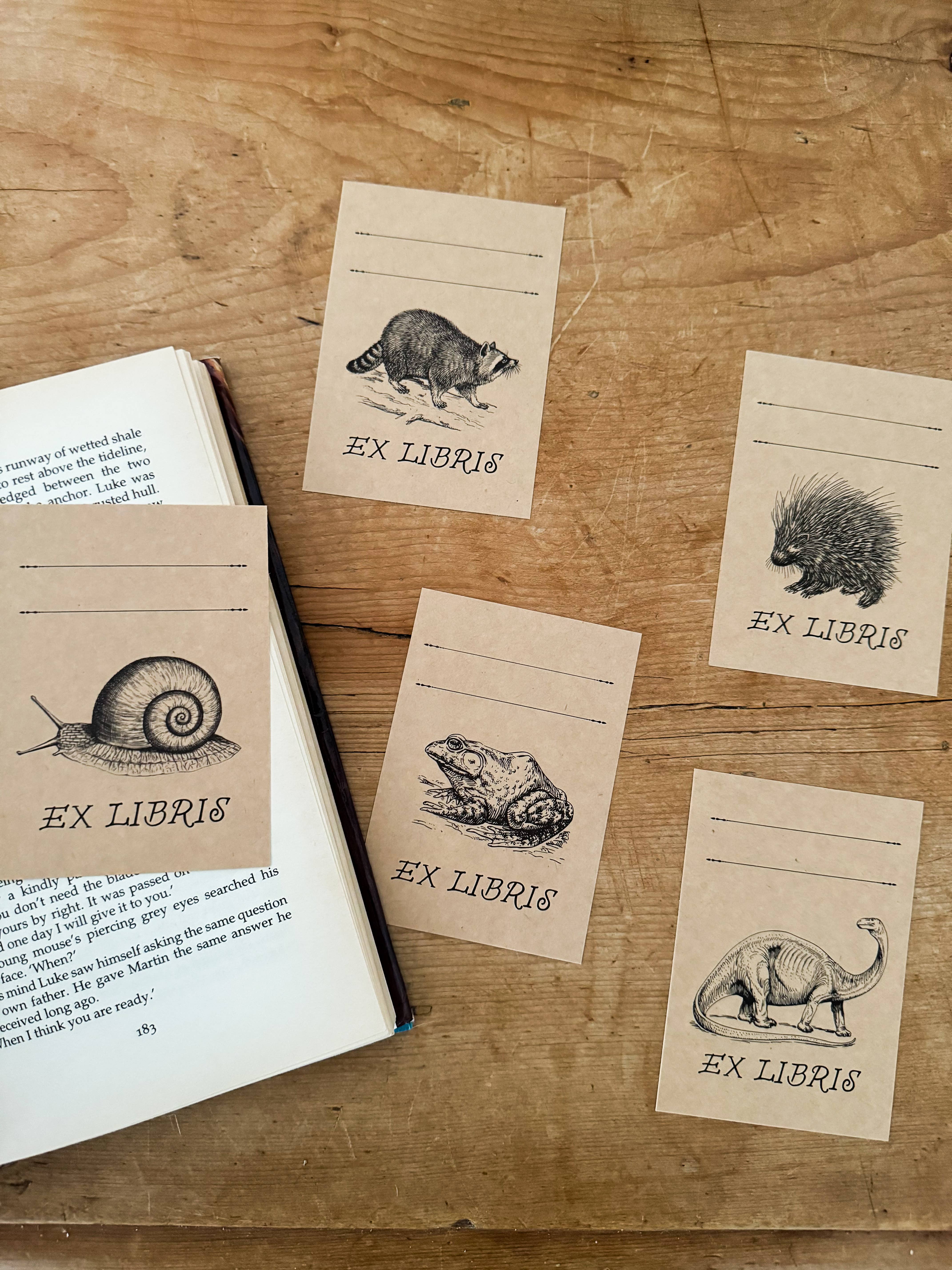 Kinsfolk Stickers - Wholesale Sticker - Bookplate Name Label Sticker - Porcupine2