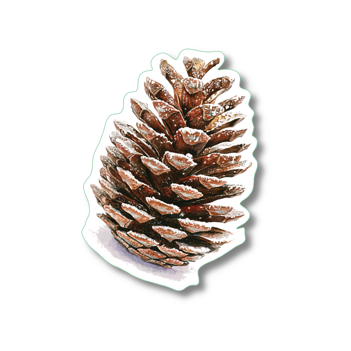 Earth Sky + Water - Wholesale Sticker - Pine Cone Nature Sticker, 2.5" x 3.5"1