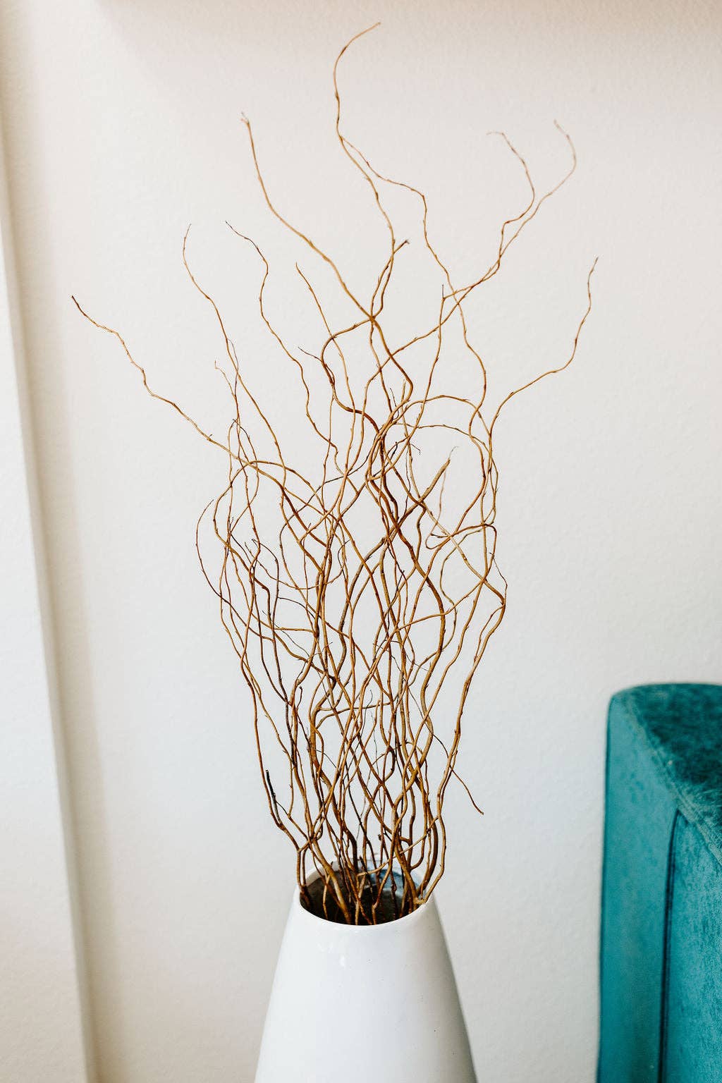 Dried Decor - Vente Fleur séchée/pressée - Branches de saule tortueux pour arrangements (longue tige) | 12 bouquets | Marron clair3