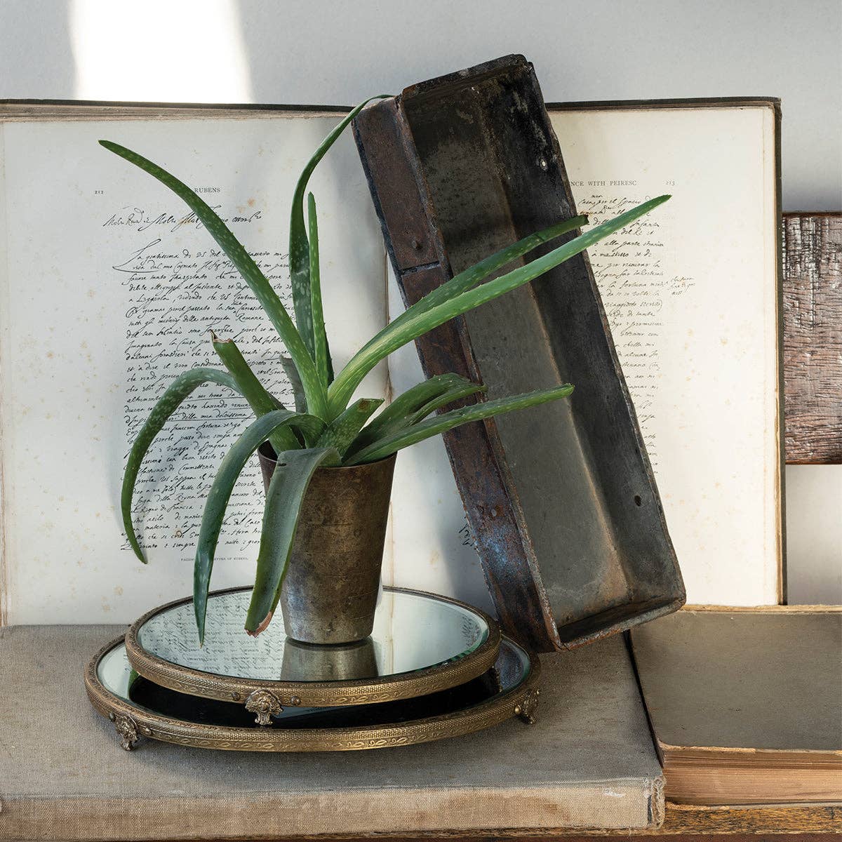 Blue Ocean Traders - Wholesale Decorative Tray - Confiserie Tray1