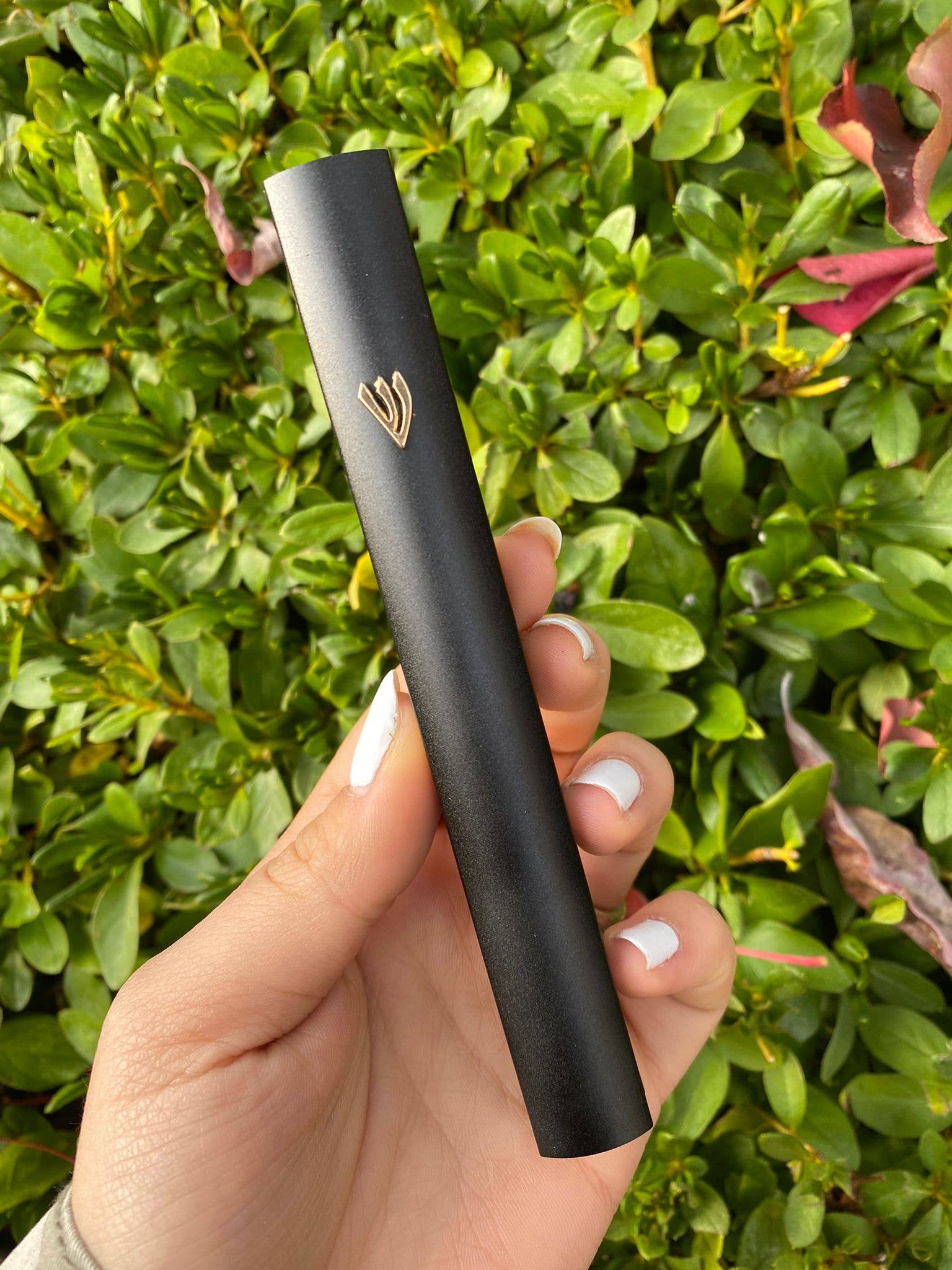 A&S Mezuzot - Vente Décorations de table - Étui Mezouza en aluminium47