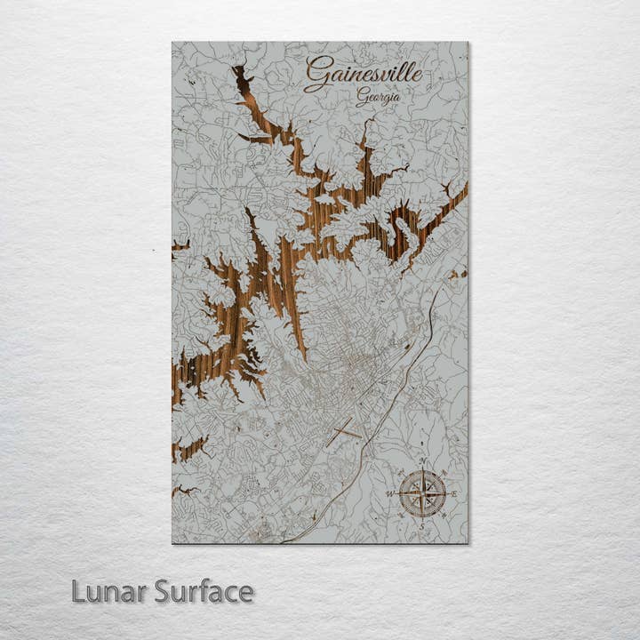 Fire & Pine - Wholesale Map - Georgia: Gainesville Street Map4