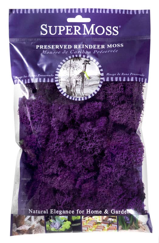 SuperMoss – Großhandel Pflanzen – SuperMoss Rentiermoos konserviert, 57 g Beutel5