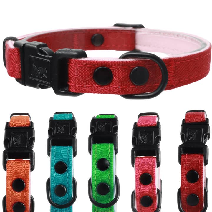 Outdoor Bengal - Wholesale Pet Collar - Cat - Durable Break-Away Cat Collar