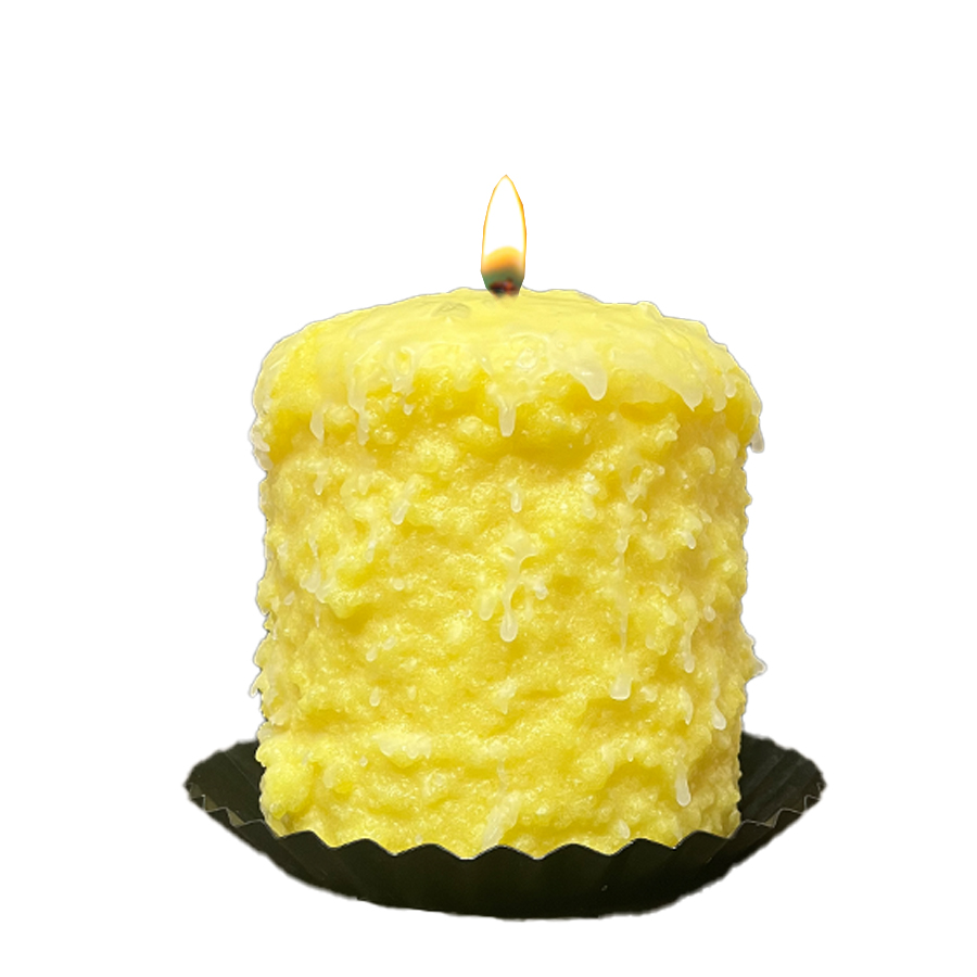 Warm Glow Candle Company - Wholesale Novelty Candle - Lemon Blueberry Hearth Candle1