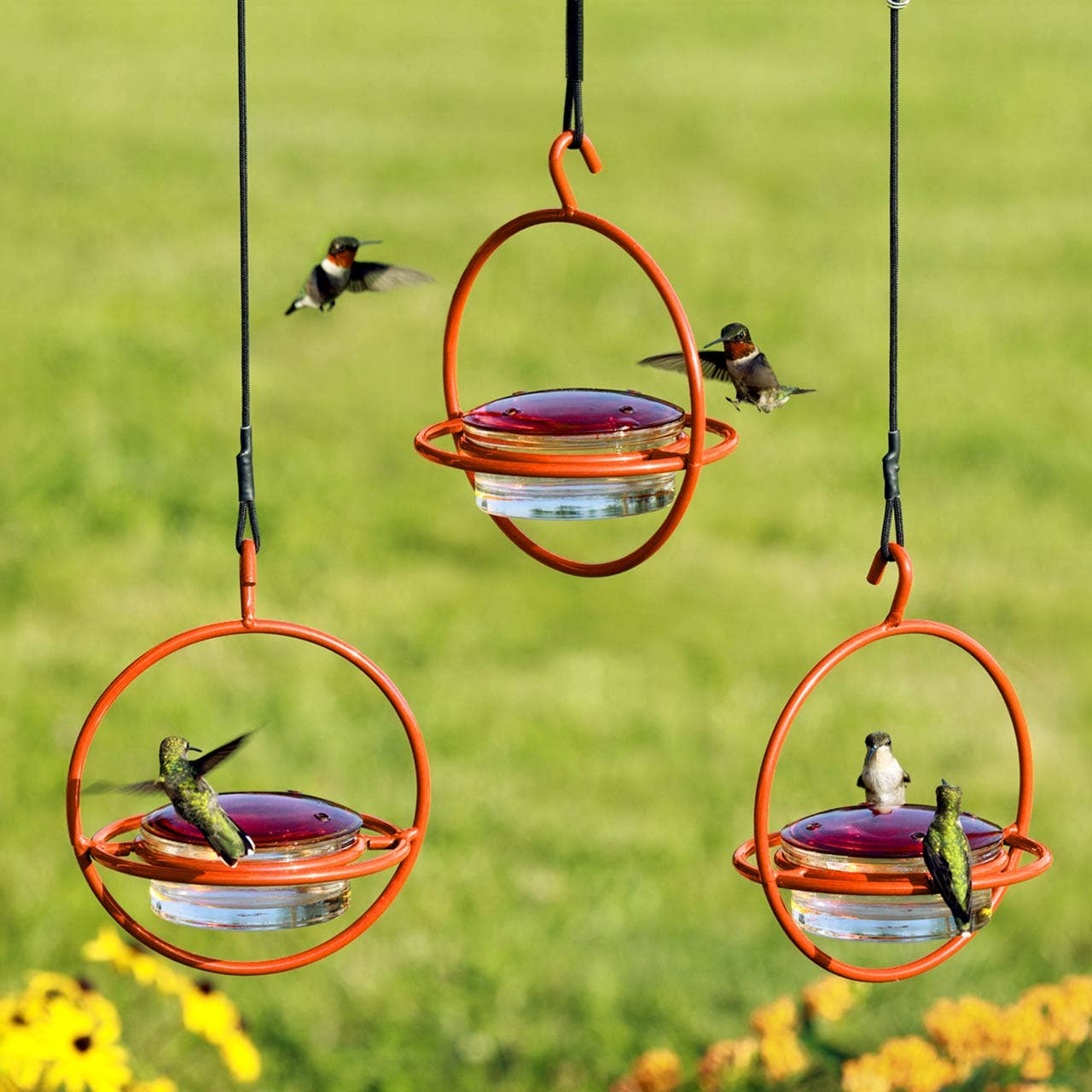 Couronne Co. - Wholesale Bird Feeder - Mosaic Birds Hummble Bold Hummingbird Feeder Orange3