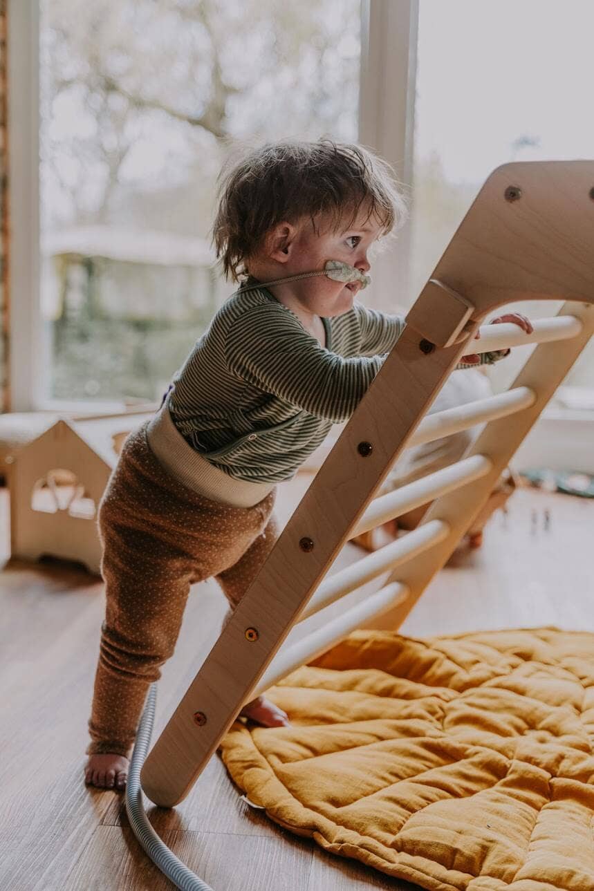 Kletterling - Venta al por mayor Juguete de madera - Niños - Koala - triángulo de escalada original (70 cm) según Pikler, plegable4