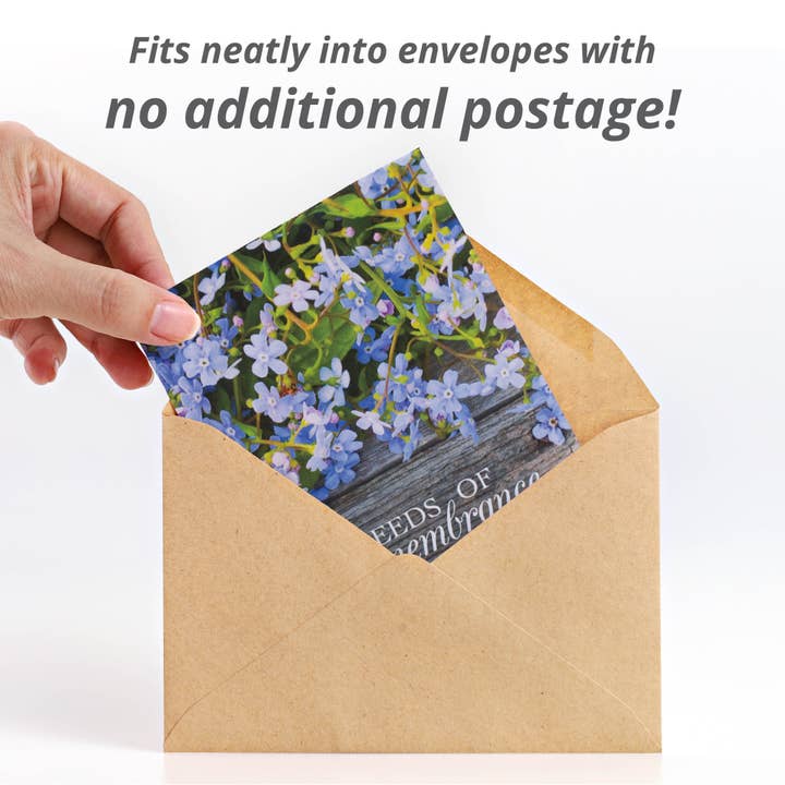 Bentley Seed Co. - Wholesale Plant Seeds - Seeds of Remembrance Memorial - Forget Me Not Seed Packets3