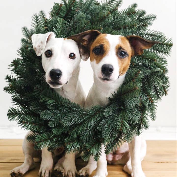 Hydra Bloom Beauty – Großhandel Roll-on-Duft – Roll-on-Parfümöl mit Bourbon-Honig-Tabak, Geschenk1