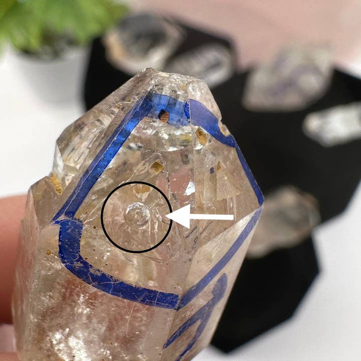Rock Paradise - Wholesale Spiritual Stone/Crystal - Crystal Enhydro Quartz with Moving Water Inclusion2