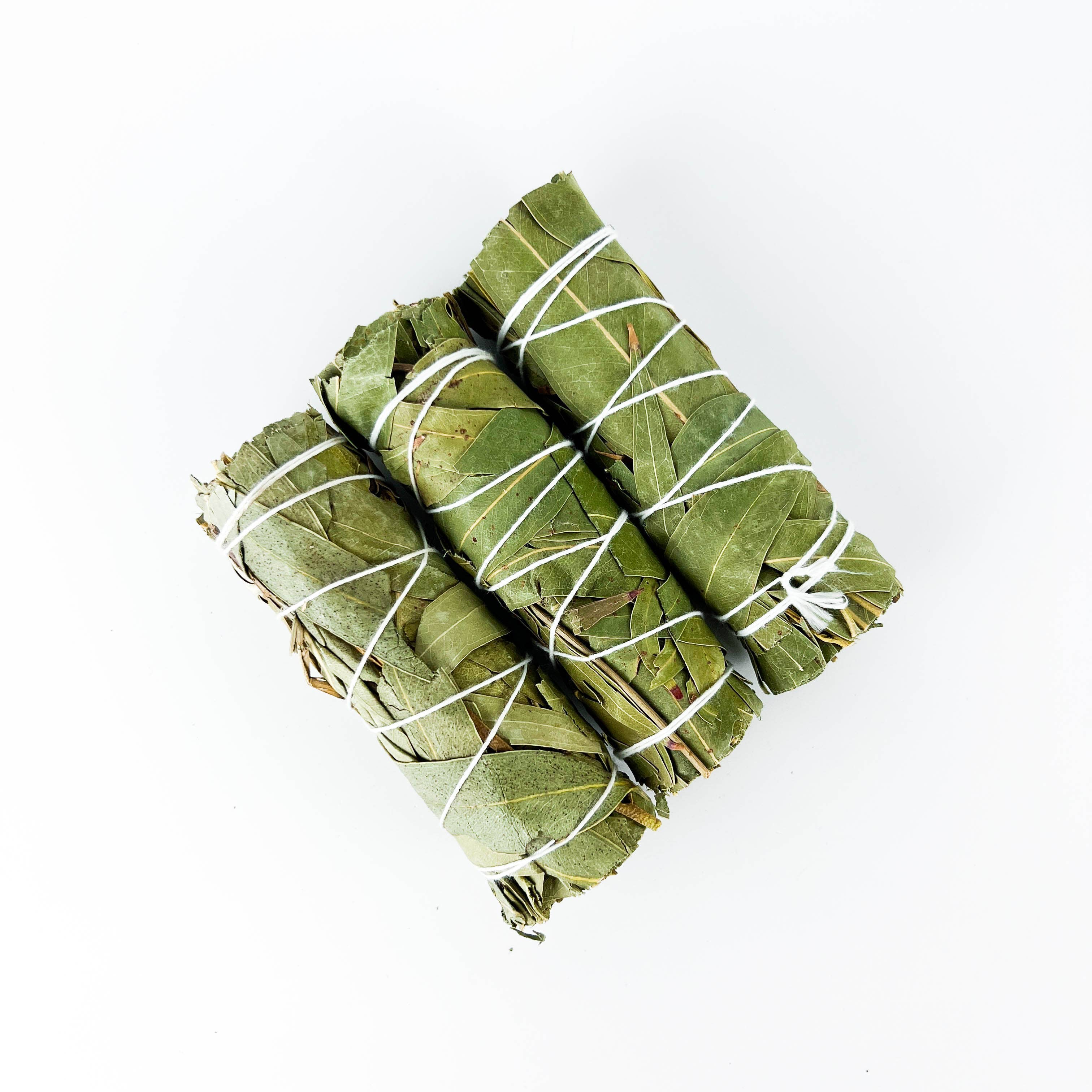 GREENROOTS USA LLC - Wholesale Smudge Stick - Eucalyptus Smudge Stick 4" Bundle For Ceremony, Meditation